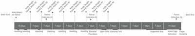 Effects of Cage Enrichment on Behavior, Welfare and Outcome Variability in Female Mice